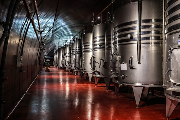 Adega com tanques de vinificação