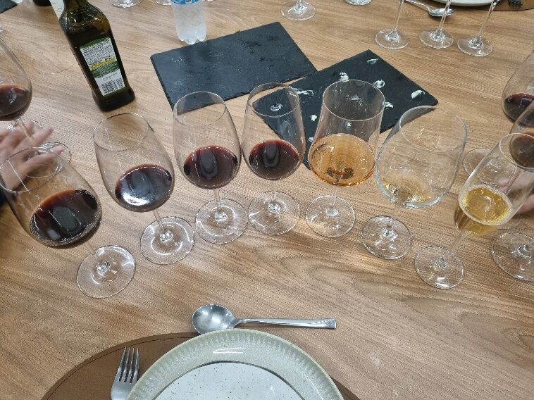 Mesa de degustação com taças de vinhos variados