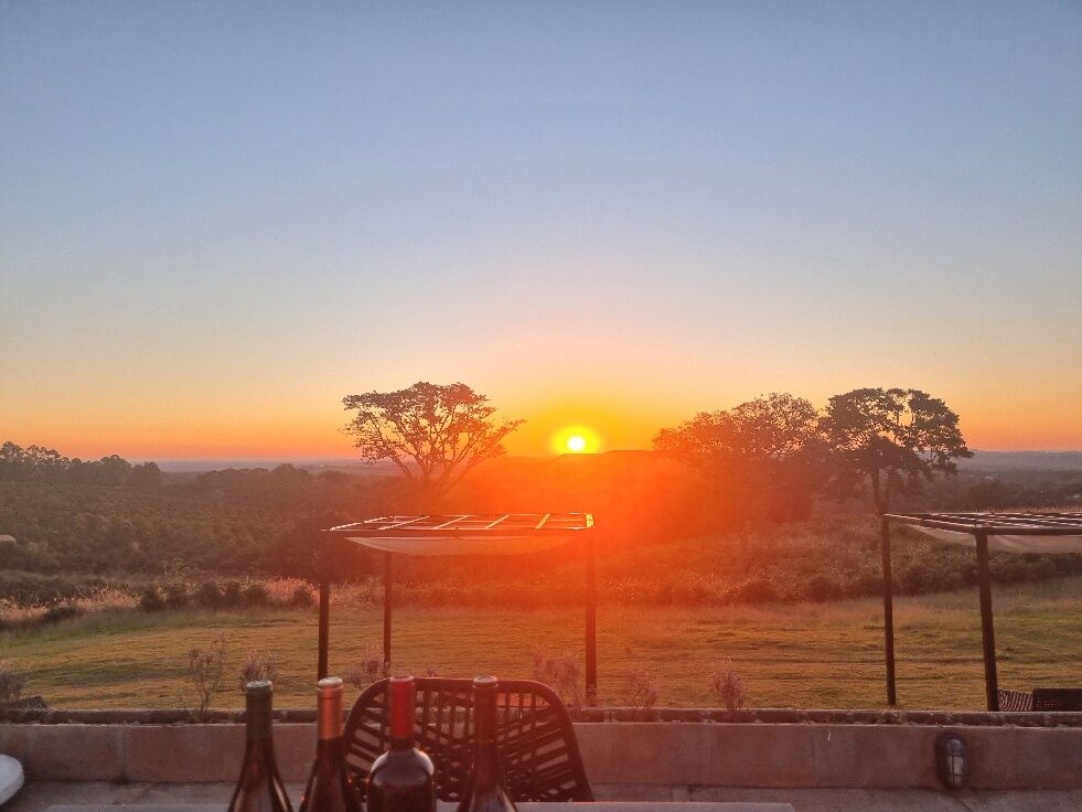 Pôr do sol sobre vinhedo brasileiro